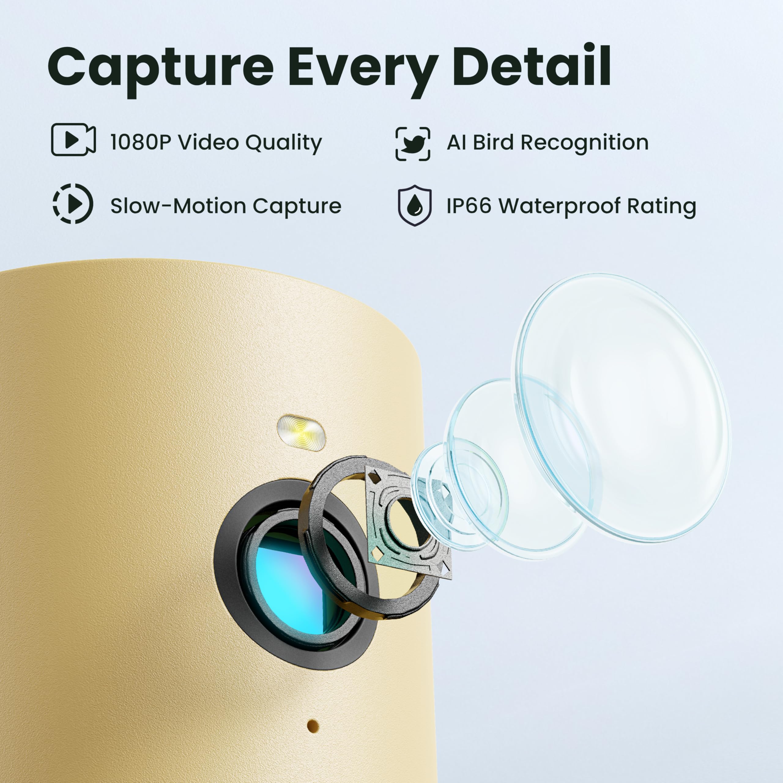 Birdfy visión nocturna a color mostrando ave, conserva detalles con poca luz