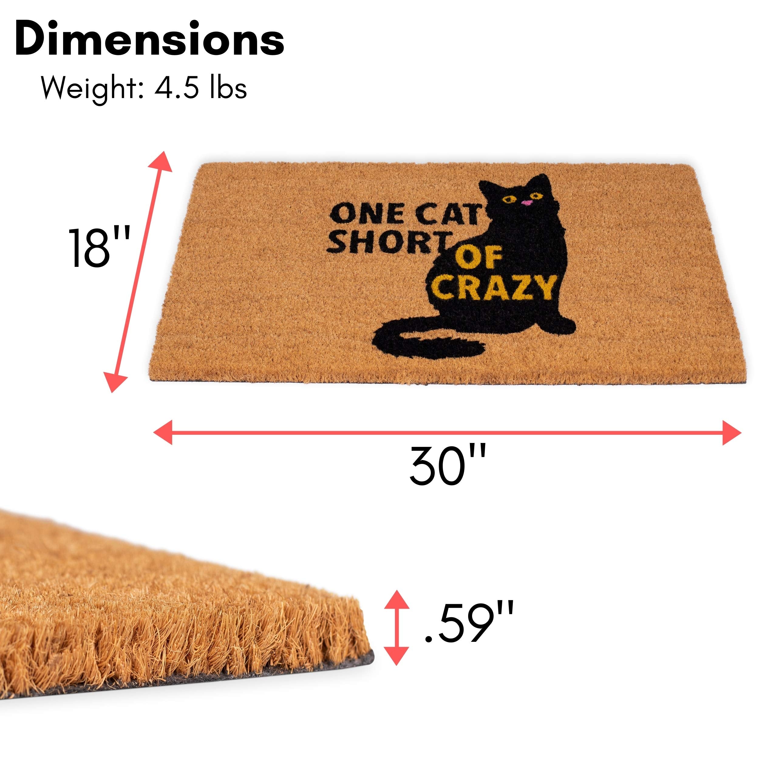 BIRDROCK HOME detalle del texto "One Cat Short of Crazy" y contraste del diseño