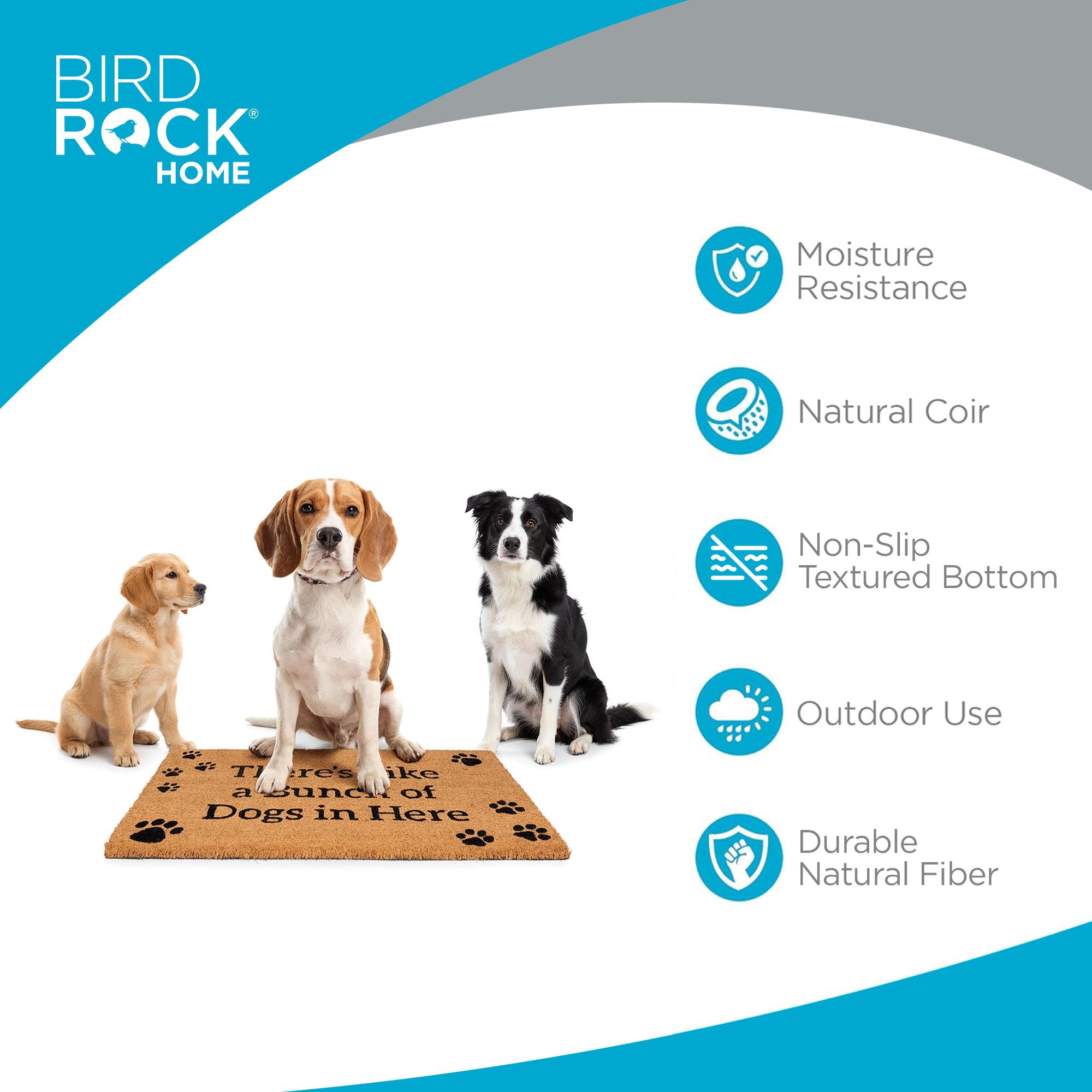 BIRDROCK HOME felpudo colocado en porche para mantener suciedad afuera
