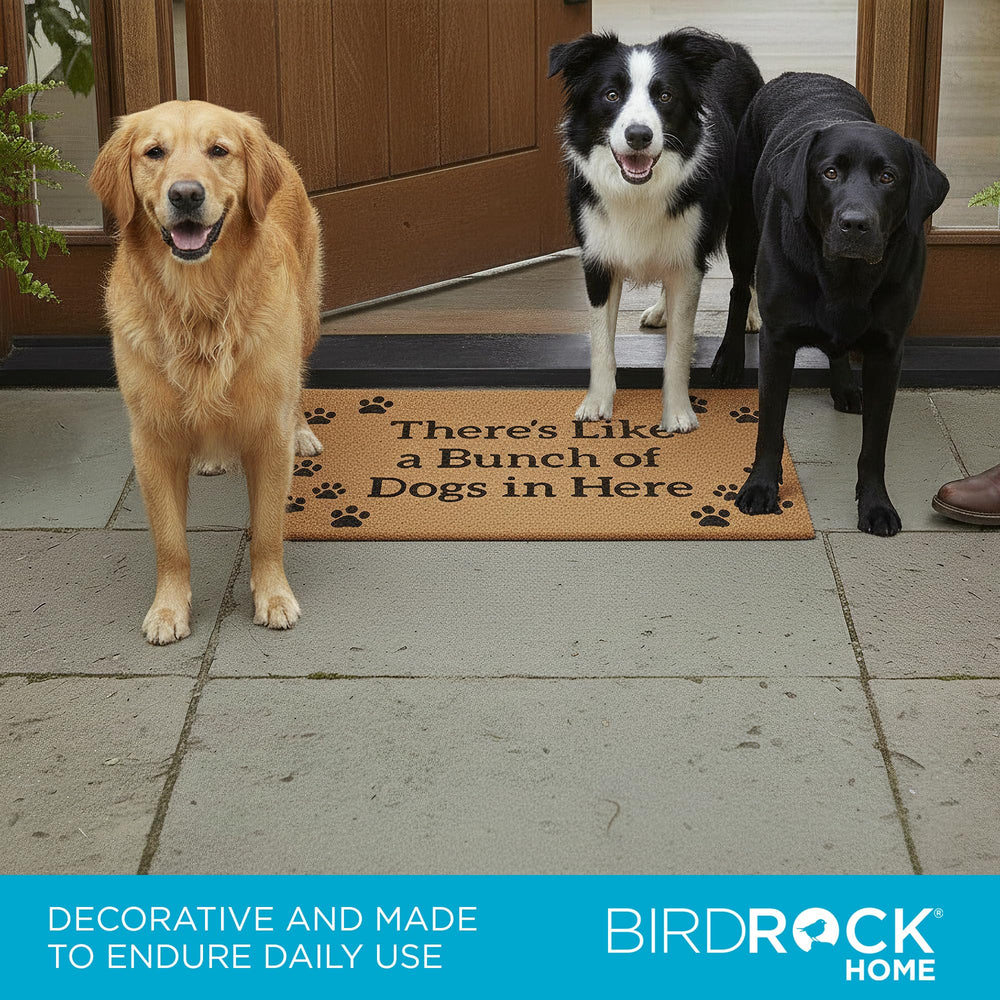 BIRDROCK HOME vista lateral que muestra grosor y sujeción estable