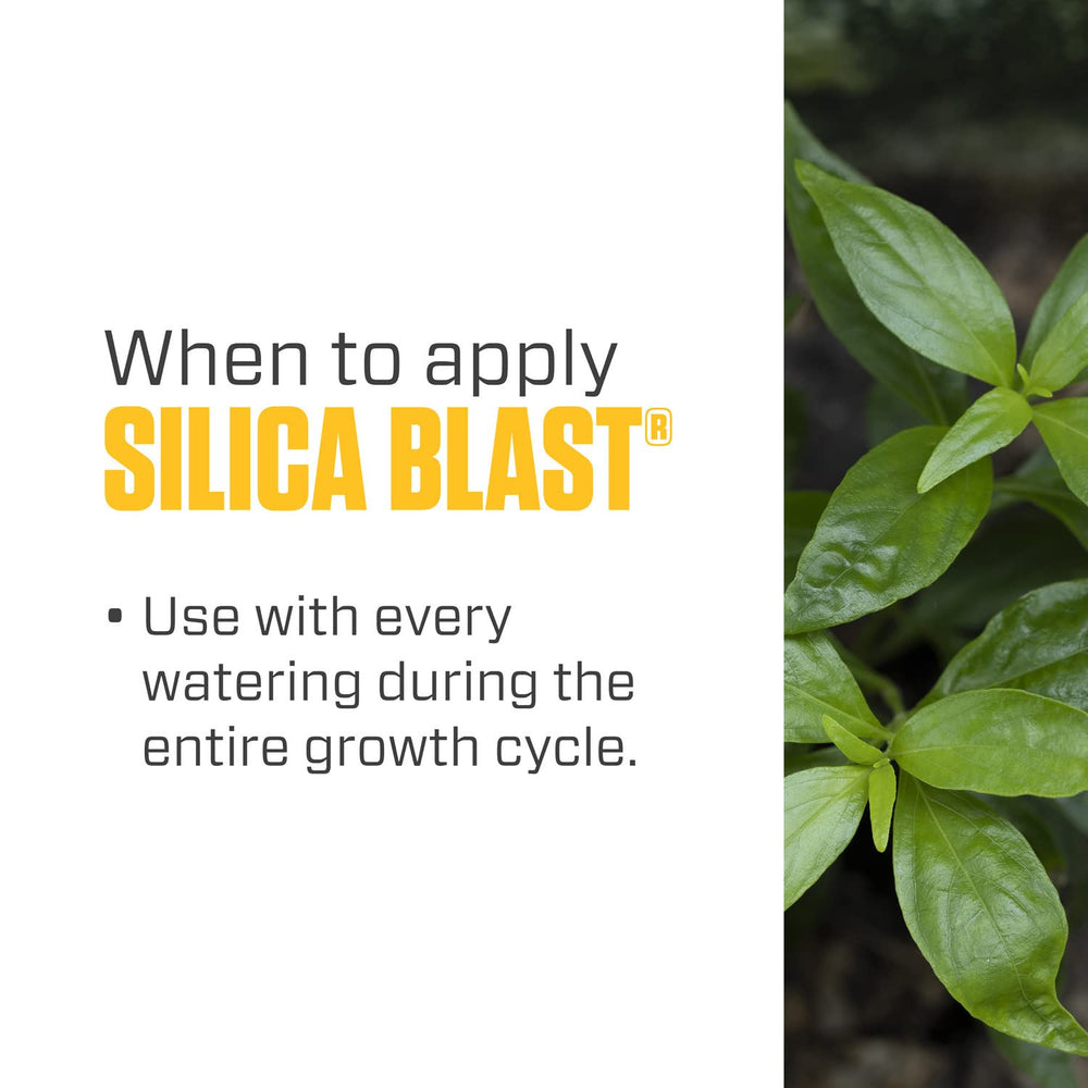 Botanicare Silica Blast añadiéndose a depósito hidropónico para cultivo controlado