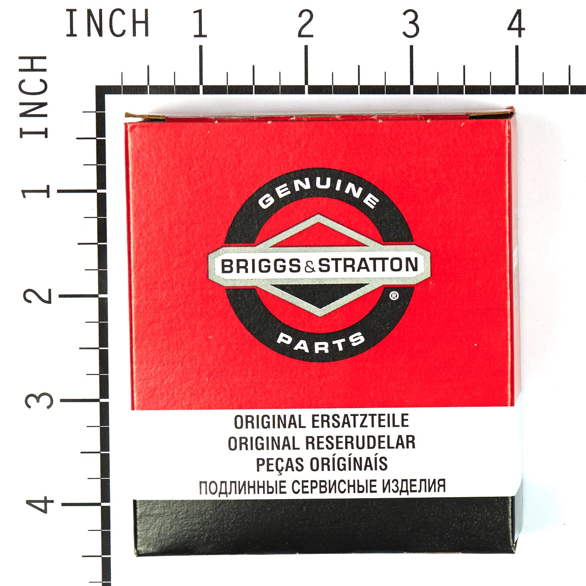 Briggs & Stratton detalle del diafragma, calidad y durabilidad garantizadas