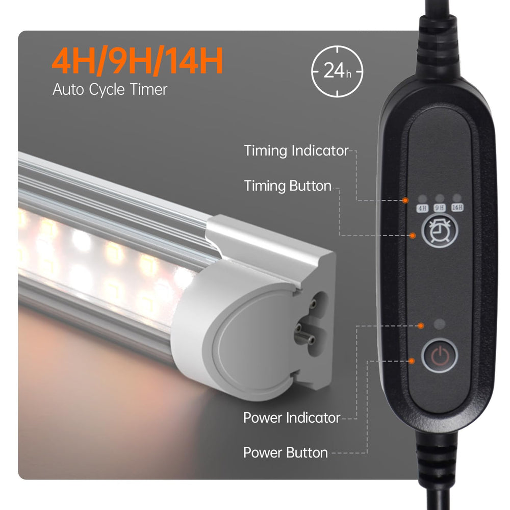 Bstrip comparación de tamaño con persona para entender dimensiones