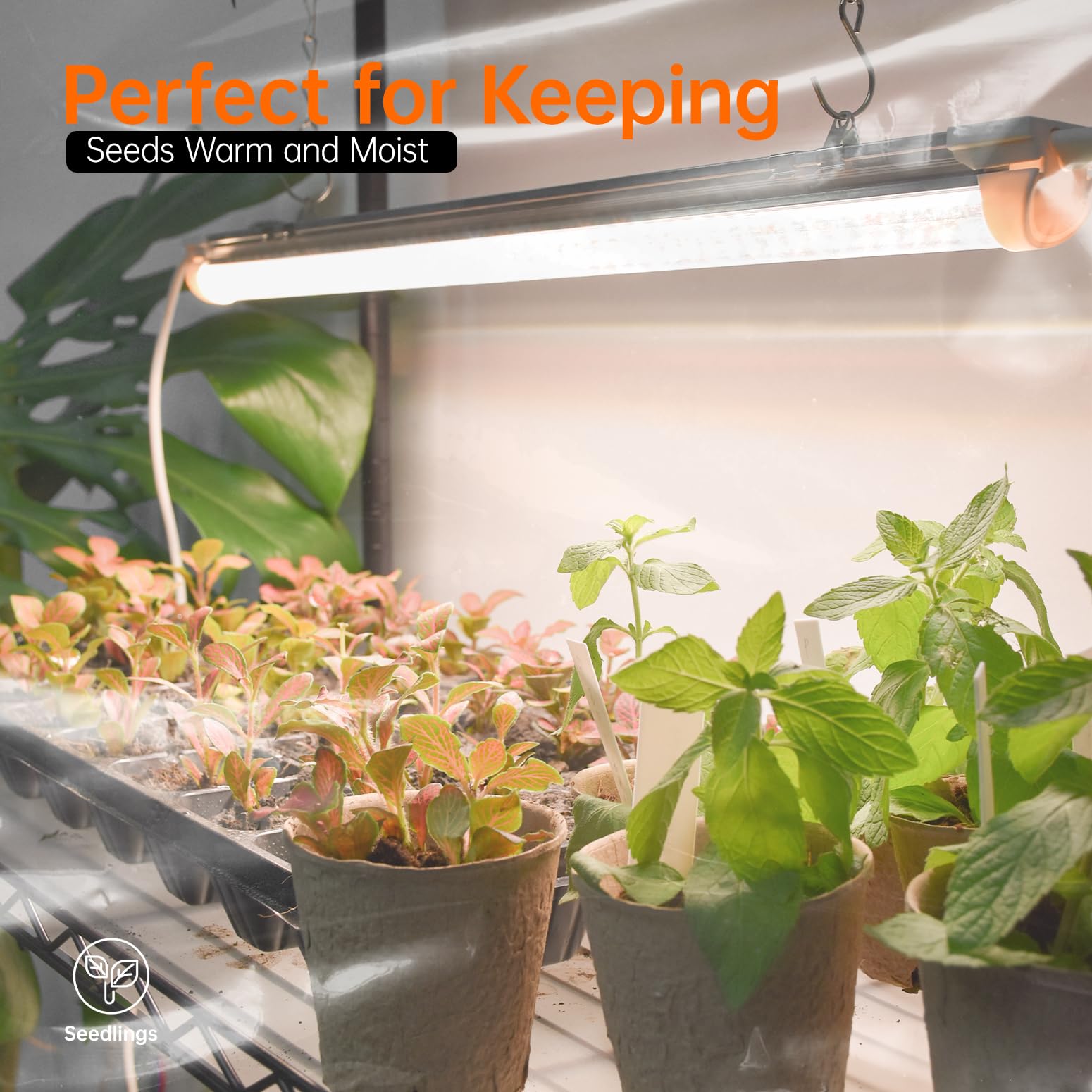 Bstrip estantes llenos de plantas ilustrando capacidad de cultivo
