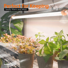 Bstrip estantes llenos de plantas ilustrando capacidad de cultivo