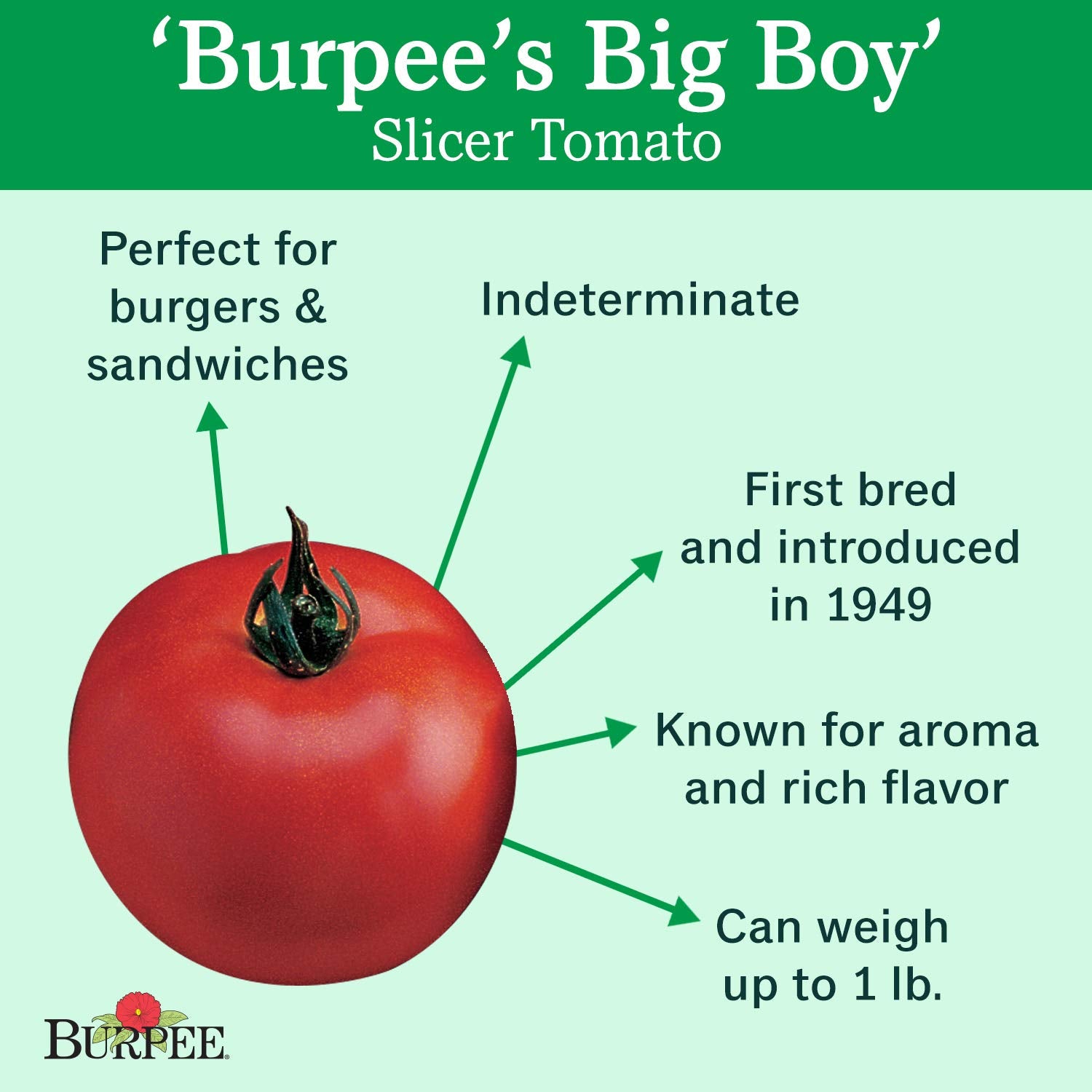 Burpee tomate Big Boy primer plano de fruto rojo con piel tersa y aroma intenso