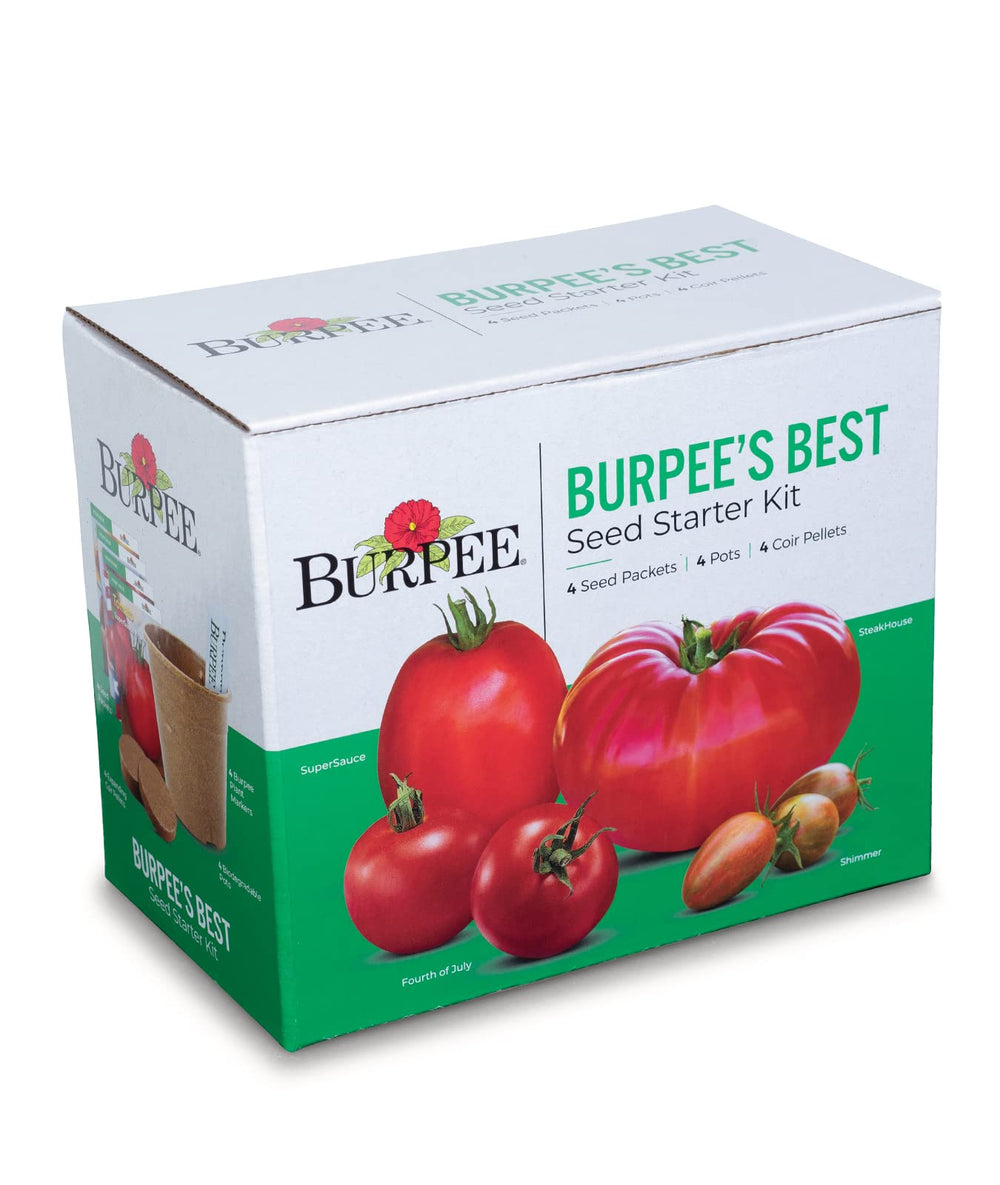 Burpee tomates cosechados de las cuatro variedades listos para cocinar y ensaladas