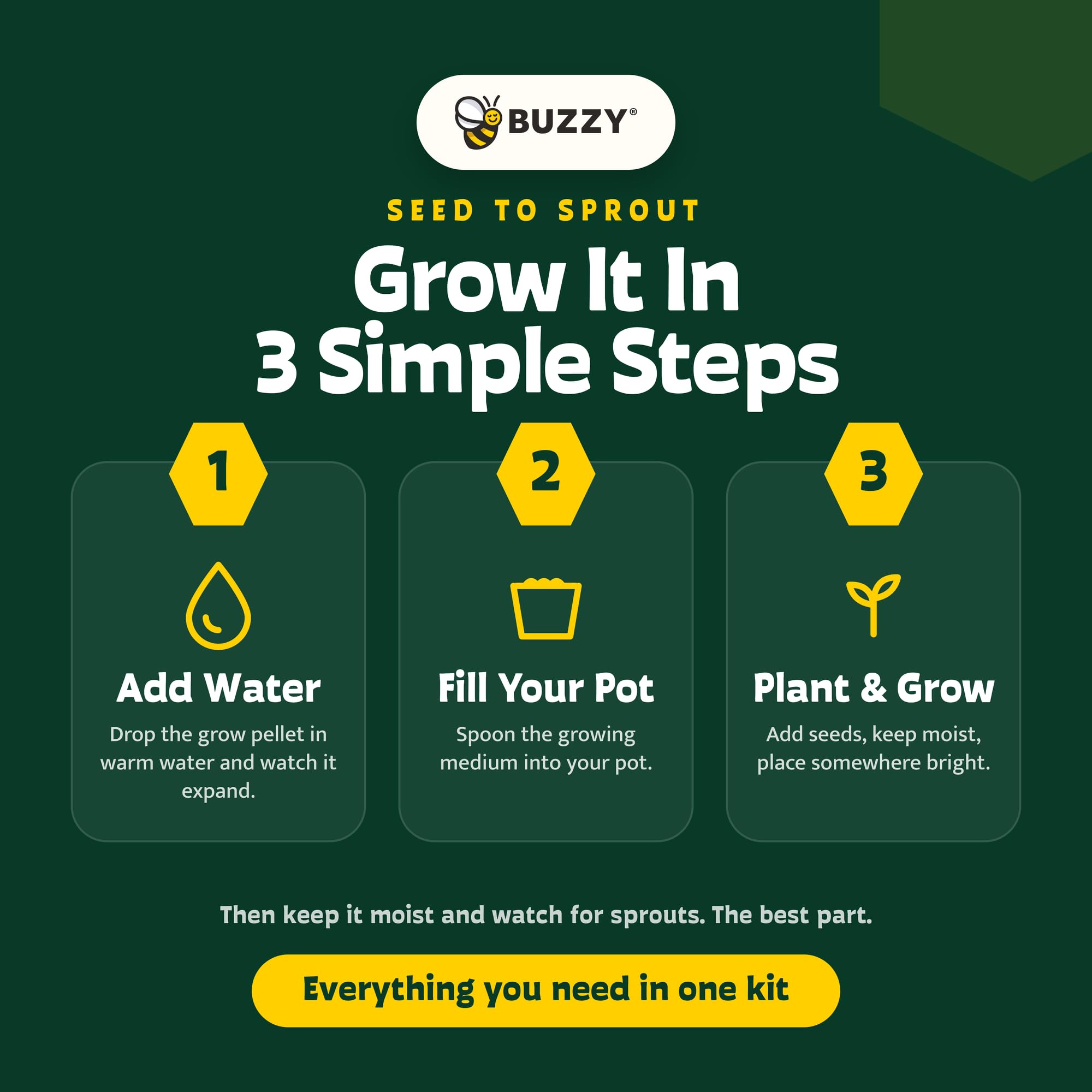 BUZZY instrucciones paso a paso visuales que facilitan el cultivo para principiantes