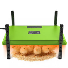 Chtoocy placa frontal del calefactor mostrando diseño compacto y seguridad