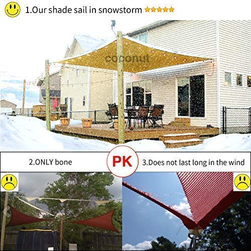 COCONUT toldo junto a regla para comparar tamaño y escala