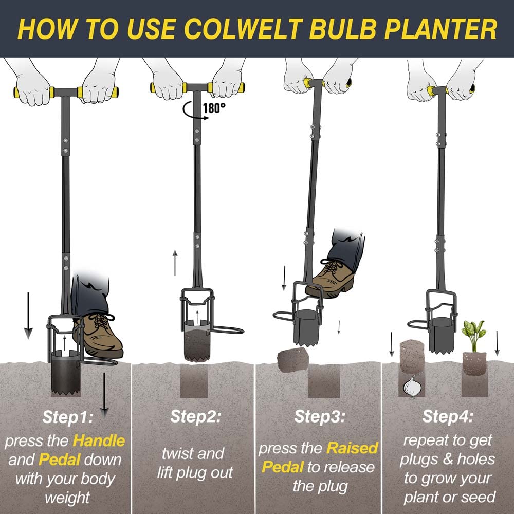 Colwelt comparación con bulbo para visualizar diámetro de hoyo
