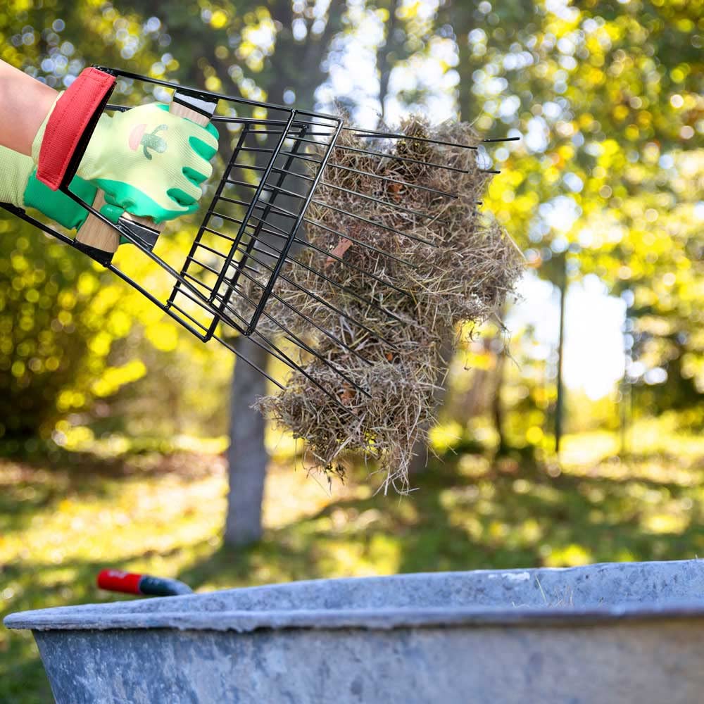 Colwelt herramienta en jardín con hojas, agiliza limpieza estacional