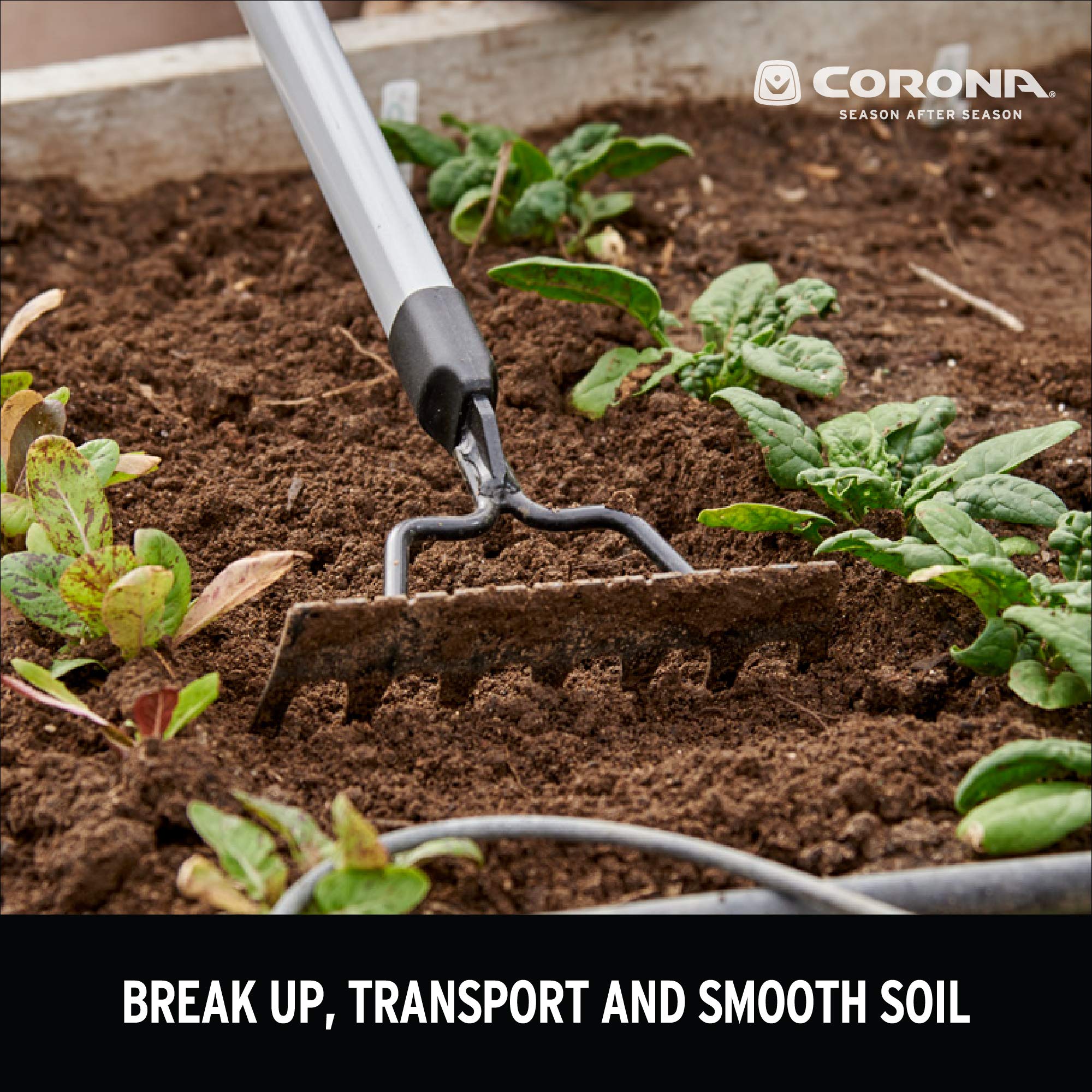 Corona Clipper primer plano de las púas de acero resistente