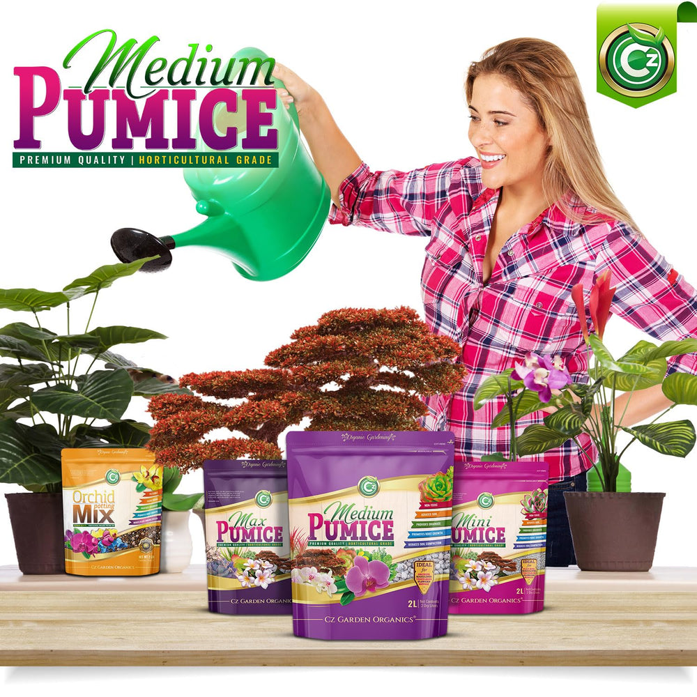 Cz Garden uso de pómez en maceta de bonsái para fijar raíces