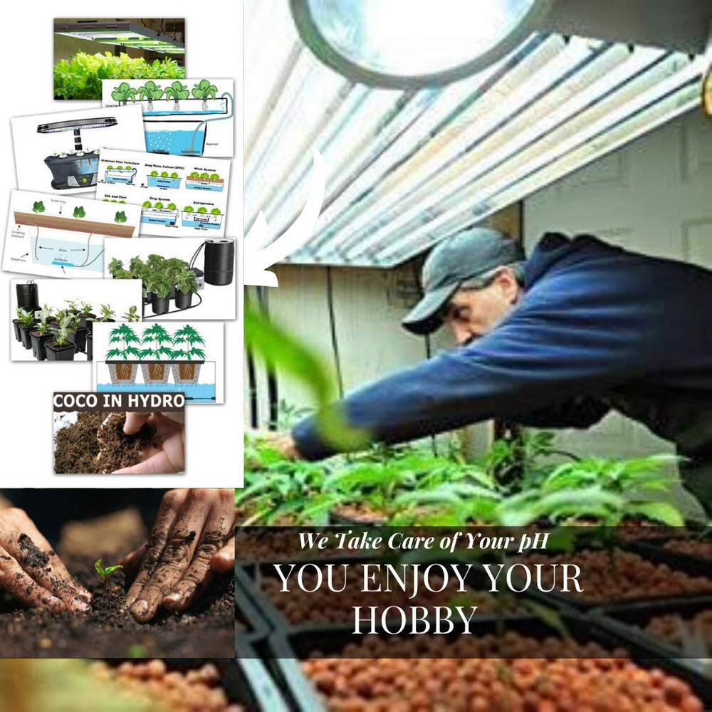 Dave Ocean33 producto en sistema hidropónico corrigiendo pH y mejorando nutrientes