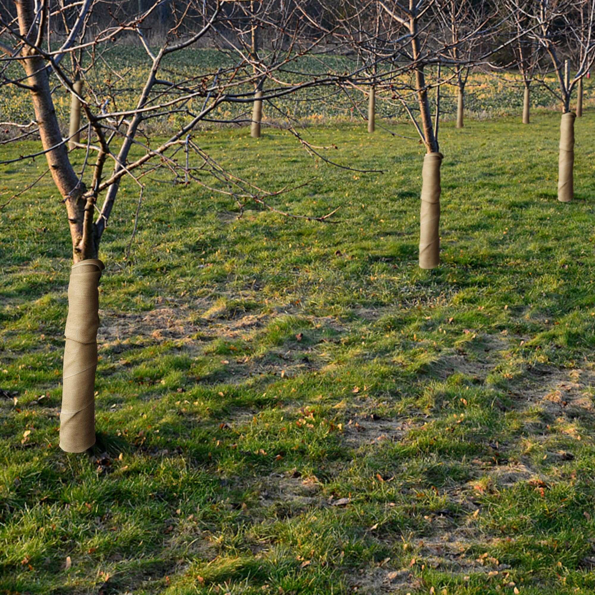 DECOHS ambiente de jardín invernal mostrando protección visible