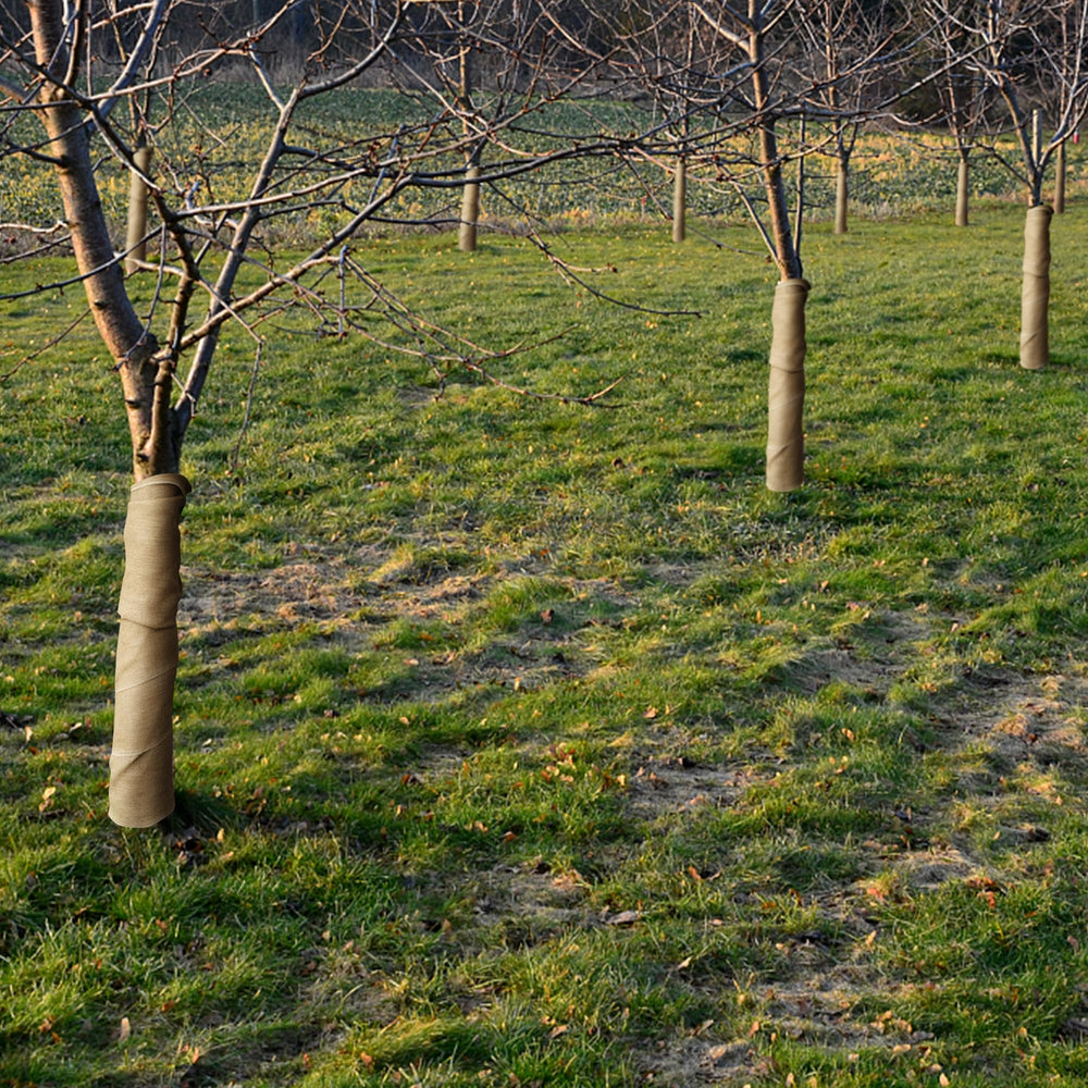 DECOHS ambiente de jardín invernal mostrando protección visible
