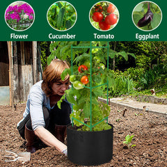 DECOHS jaula montada en maceta sosteniendo tomates para cultivo vertical eficiente