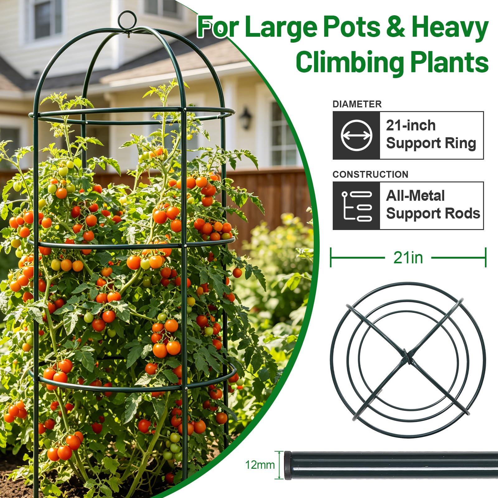DEROFIT en maceta con tomates, mejora cosecha y ahorro de espacio