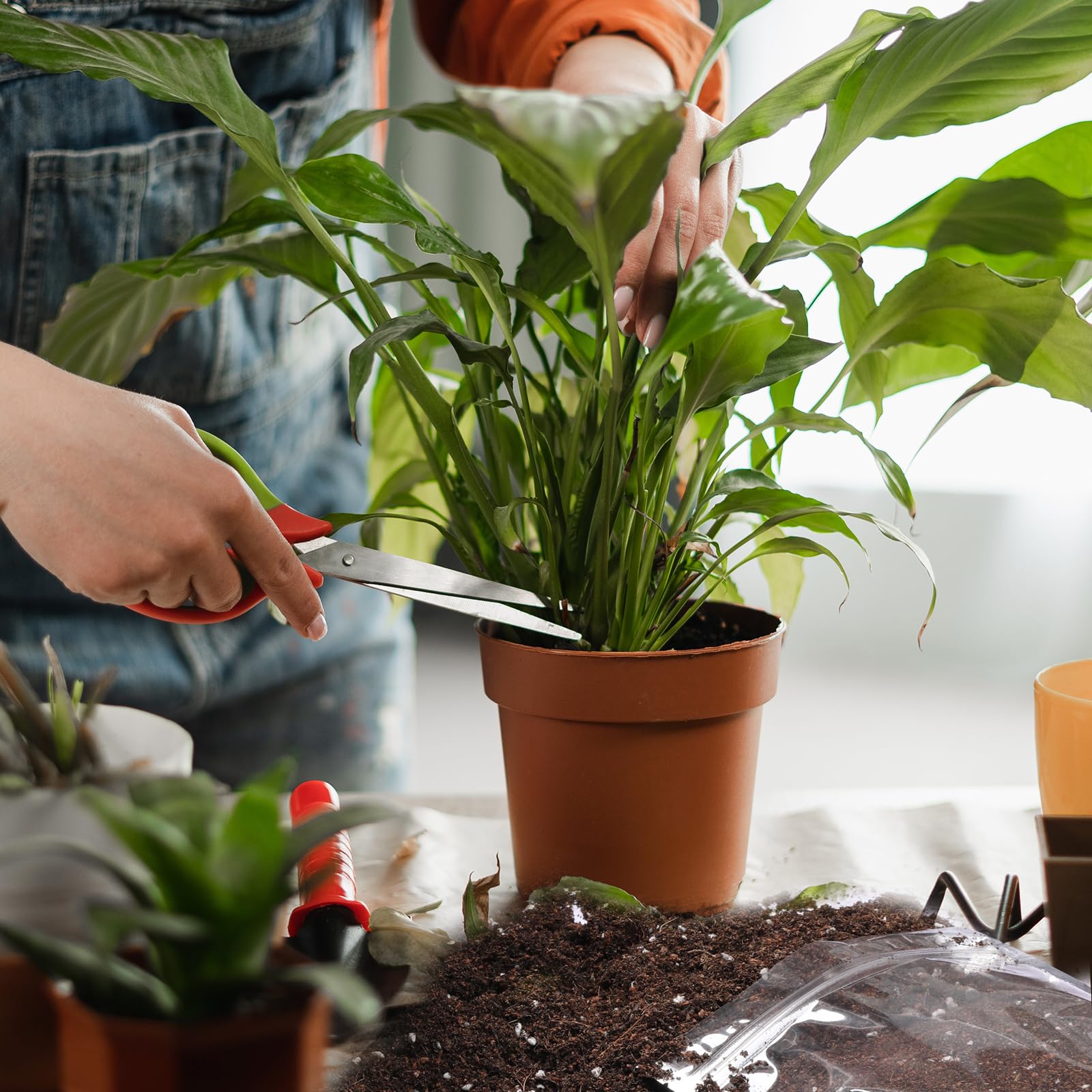 Doter producto en sala iluminada, ideal para interiores