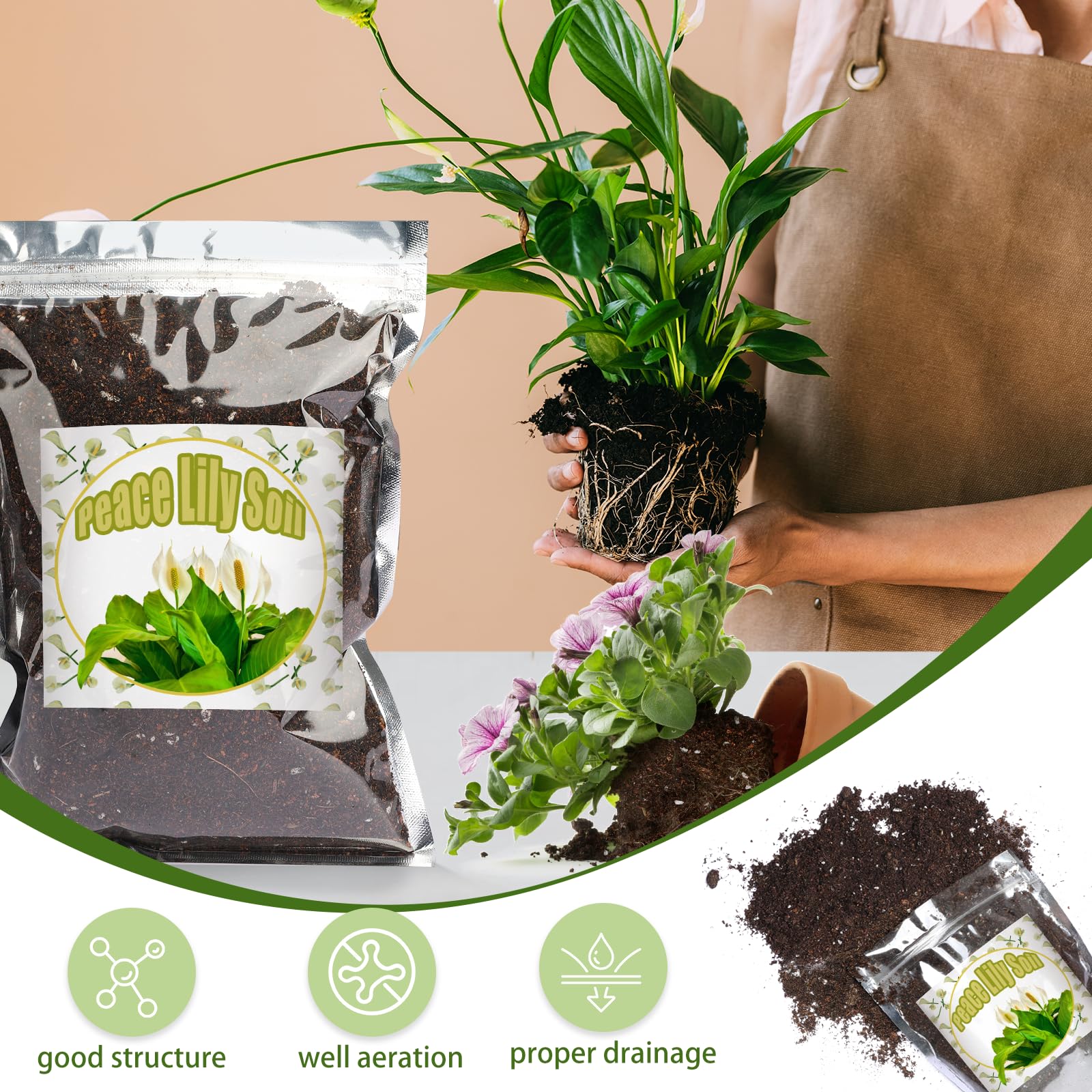 Doter mezcla en maceta con peace lily para trasplante rápido