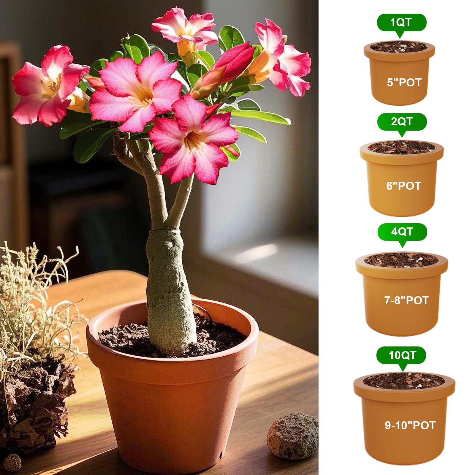 Doter mezcla usada en estante con plantas, ideal para interior y decoración