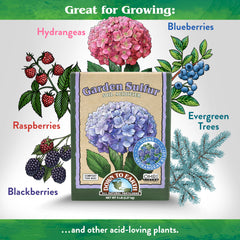 Down To Earth aplicando sulfuro en maceta mejora pH para plantas