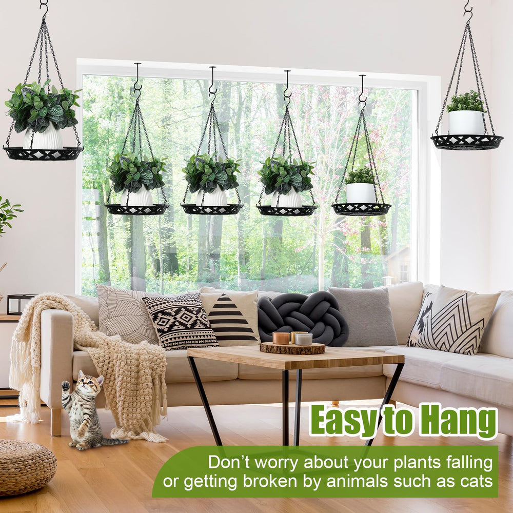 Enhon colgador en ventana con plantas aprovechando luz y estética