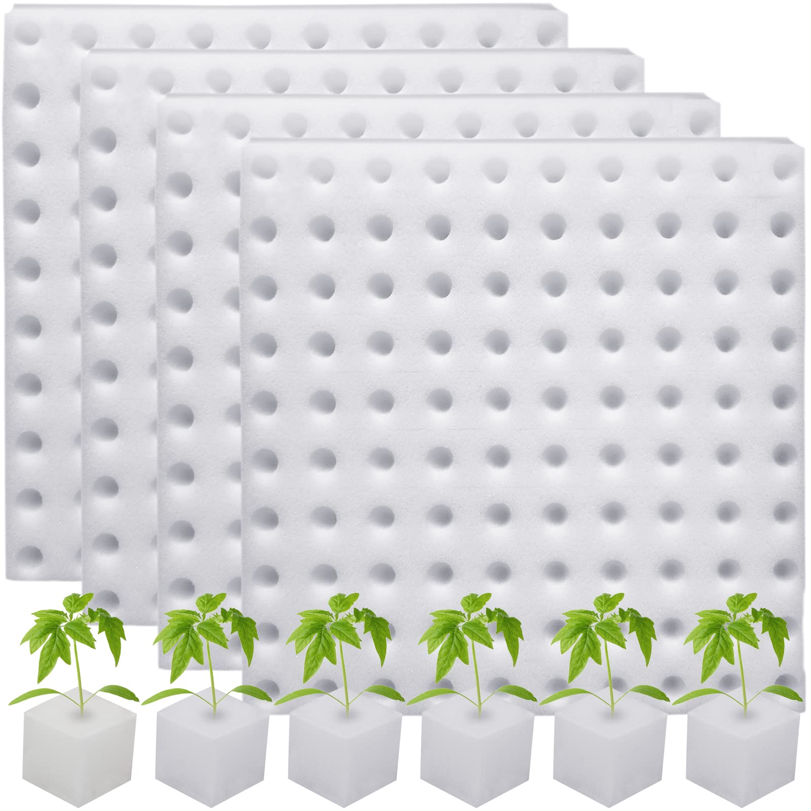 Eshylala empaque frontal mostrando 400 esponjas, solución limpia para germinar