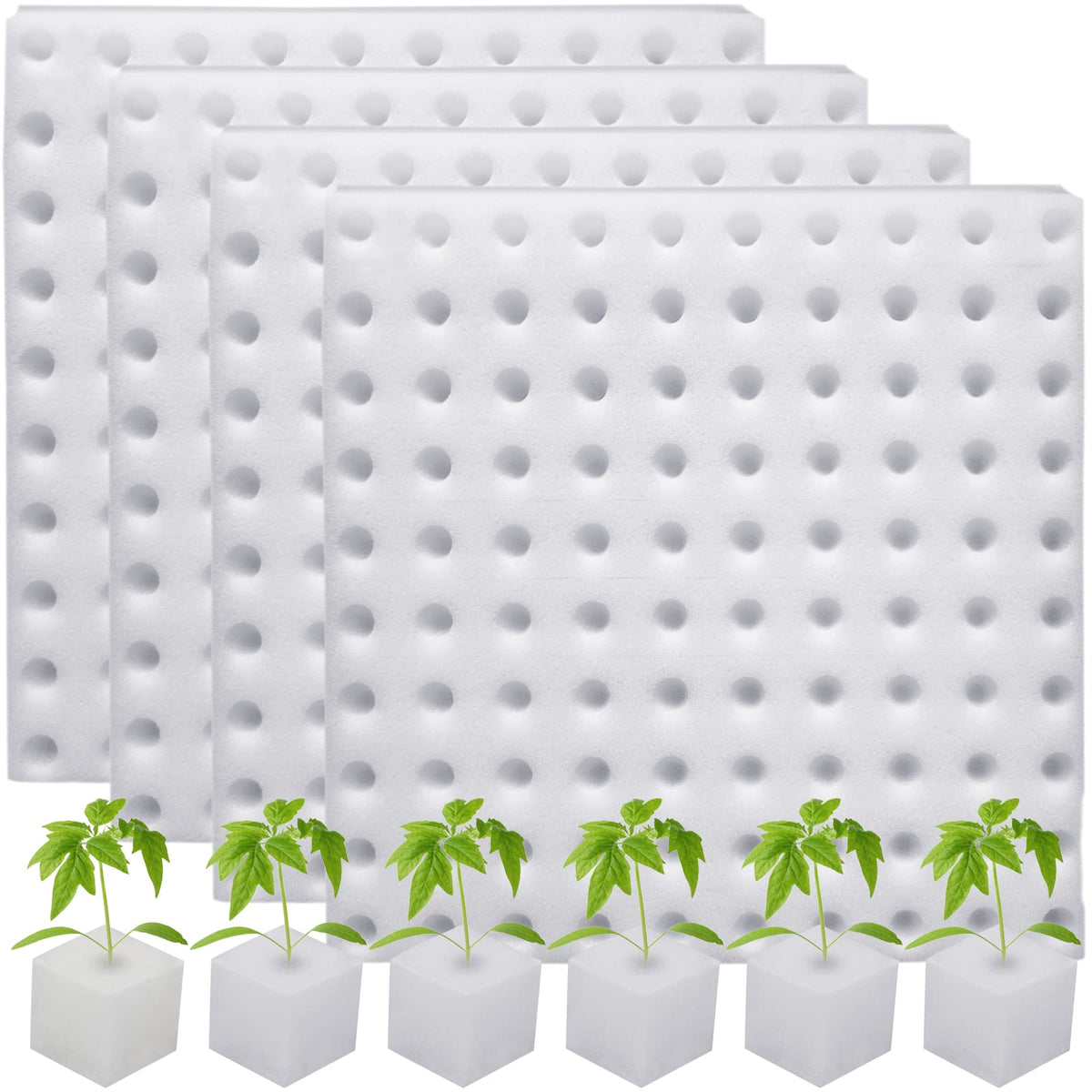 Eshylala empaque frontal mostrando 400 esponjas, solución limpia para germinar