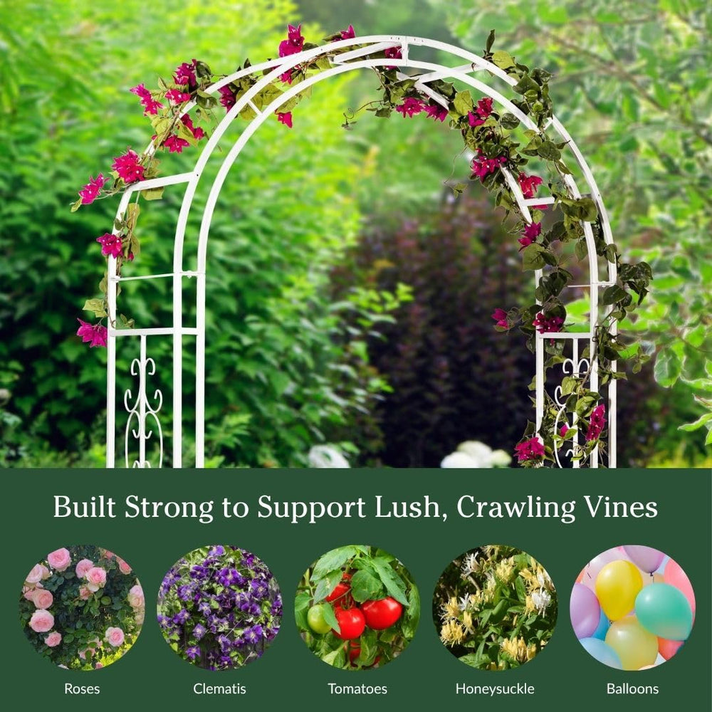 Evergreen Garden comparación de tamaño para visualizar los 7 pies