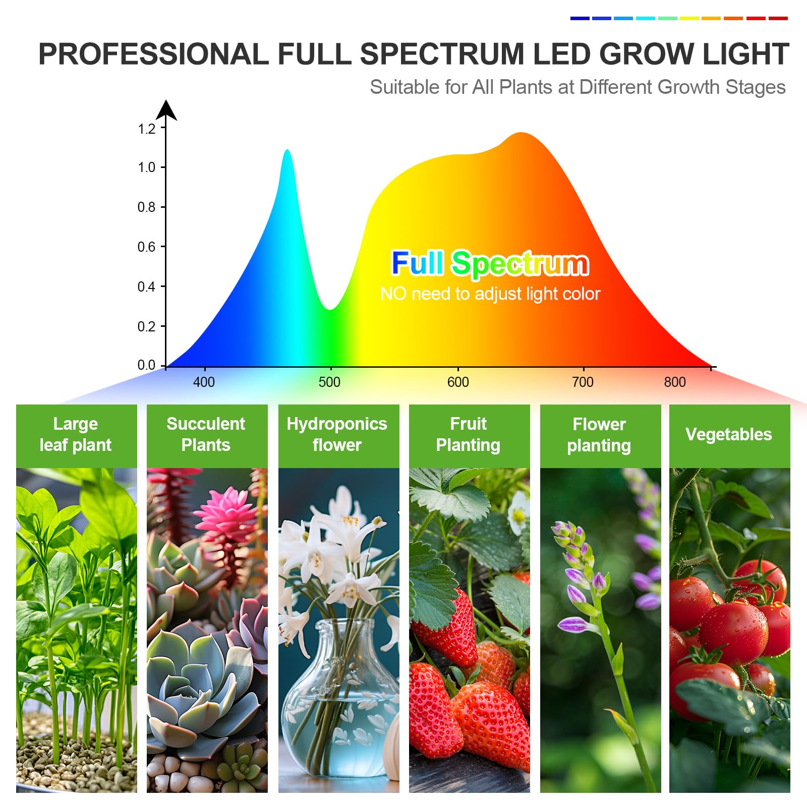 FECiDA en ambiente interior con varias plantas, recrea luz natural