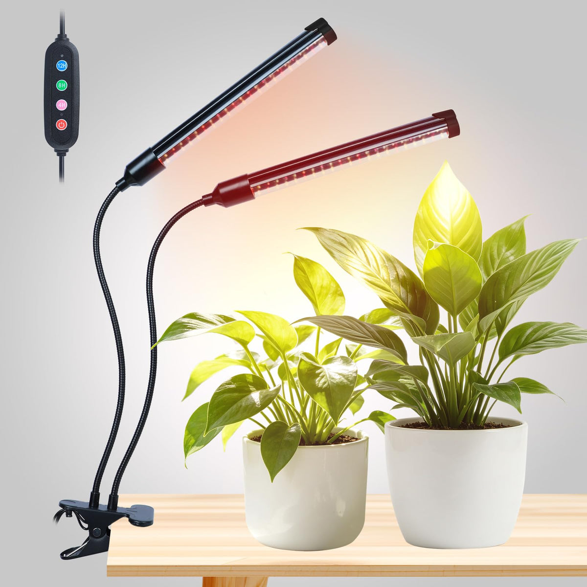 FECiDA vista frontal con clip resistente y diseño compacto, ahorro de espacio
