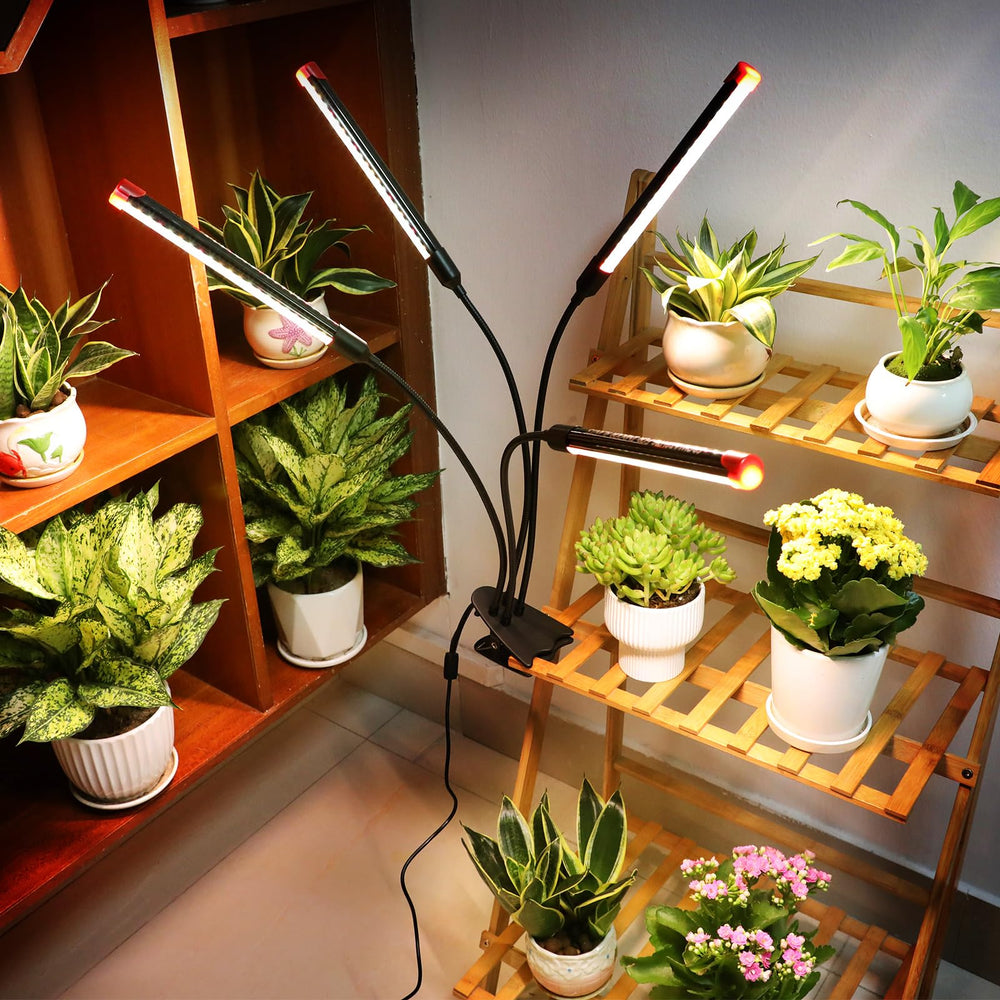 FECiDA detalle de LEDs y tubos mostrando intensidad y calidad lumínica