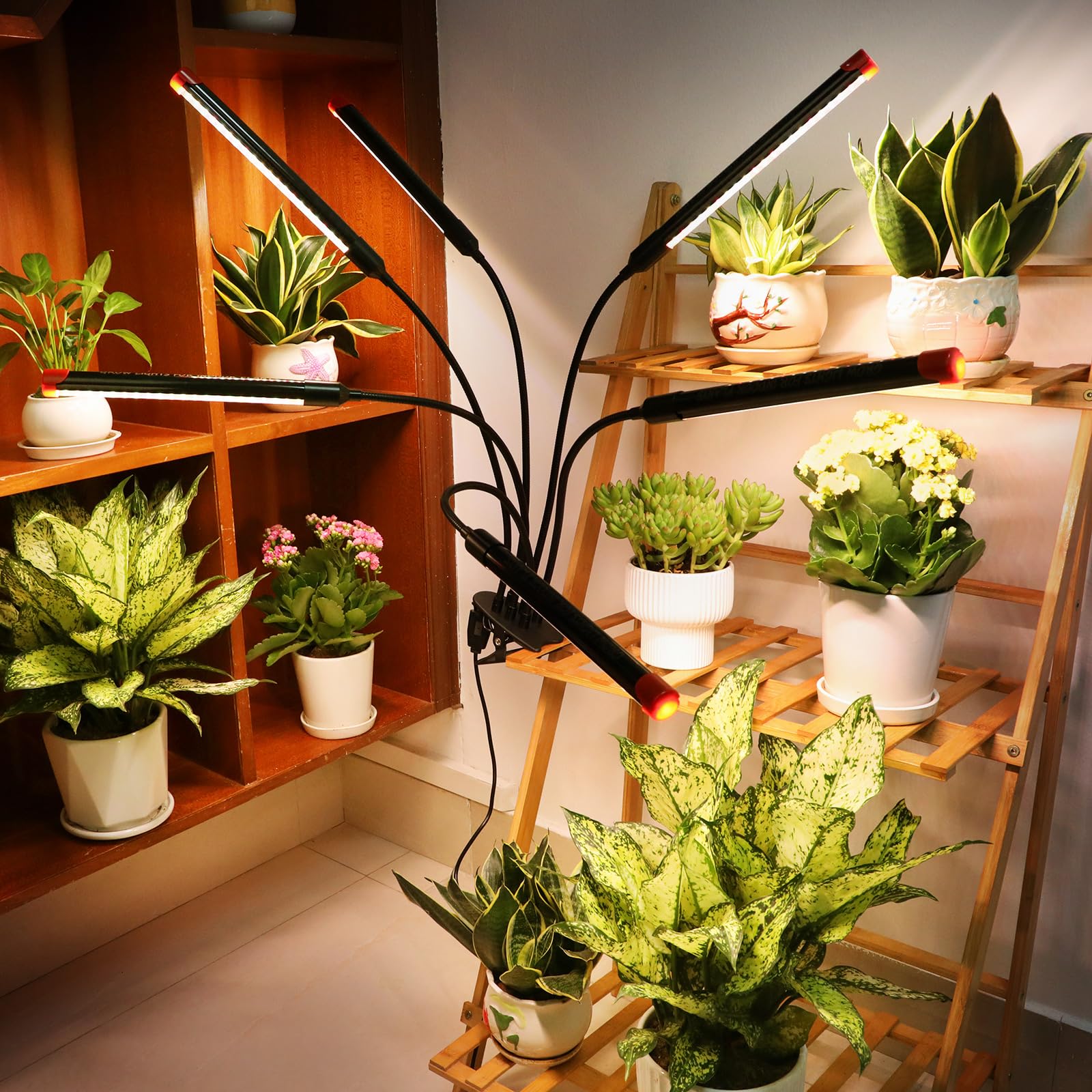 FECiDA primer plano de los LEDs y lente 60° que concentra la luz eficientemente