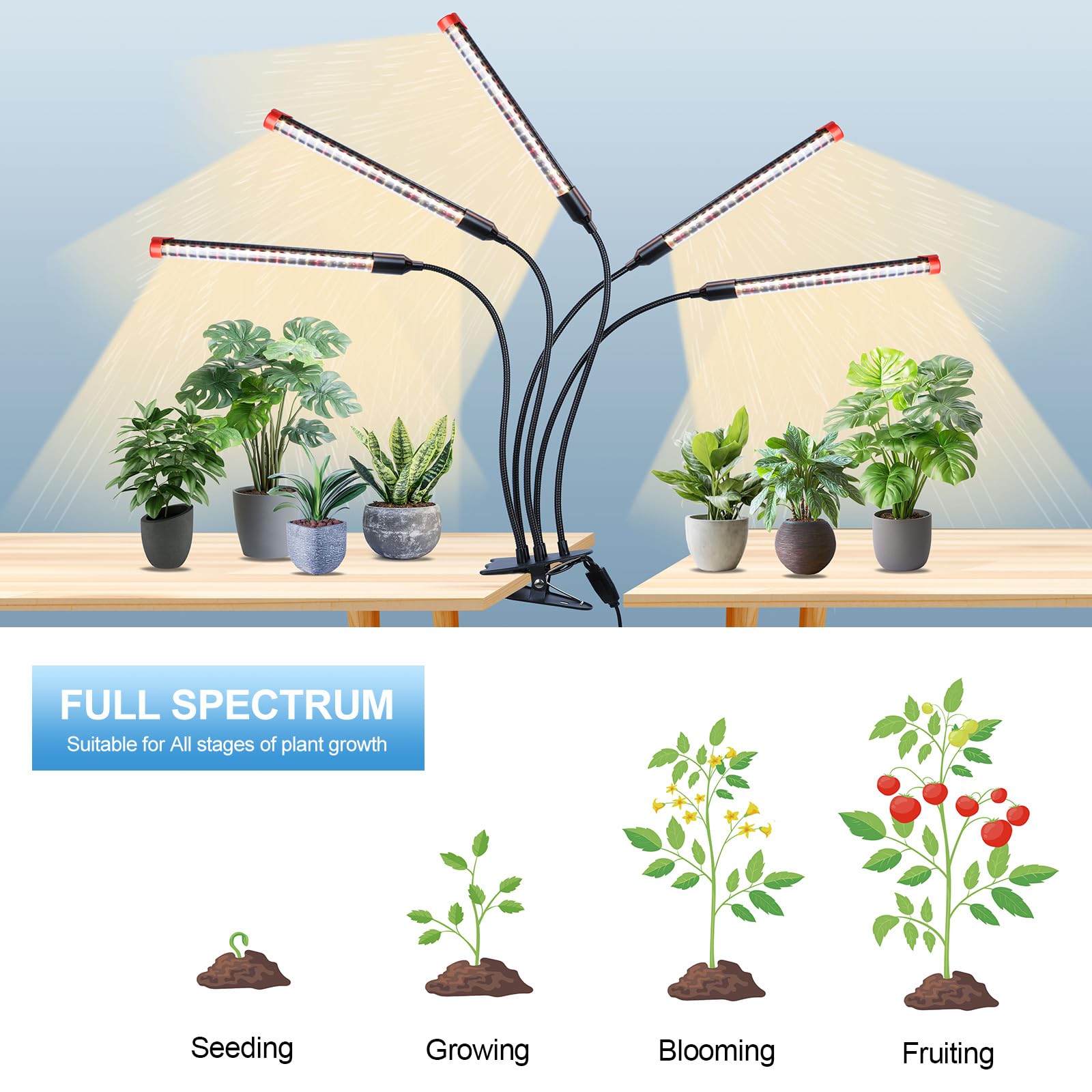 FECiDA detalle de LEDs y lente 60° para mayor concentración de luz útil
