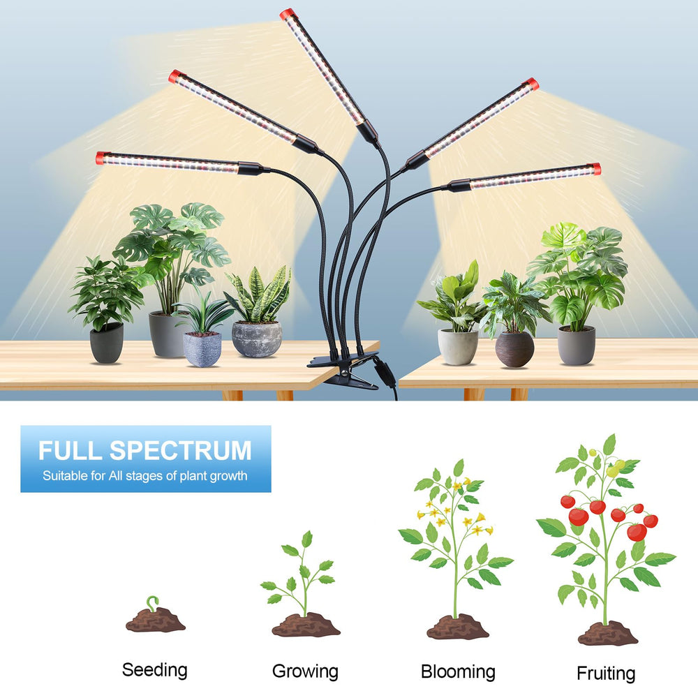FECiDA detalle de LEDs y lente 60° para mayor concentración de luz útil