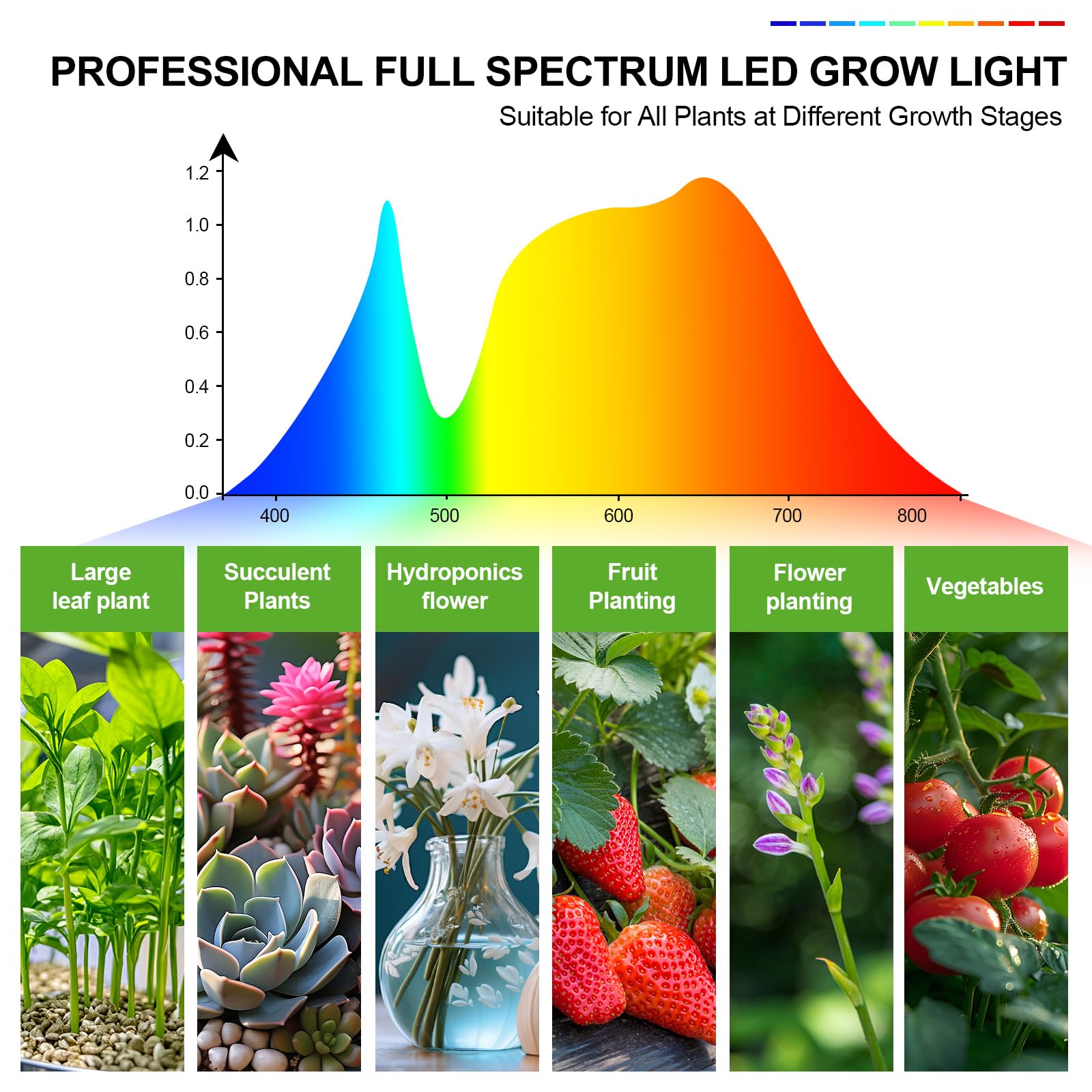 FECiDA lámpara iluminando una orquídea mostrando mejora visual y salud