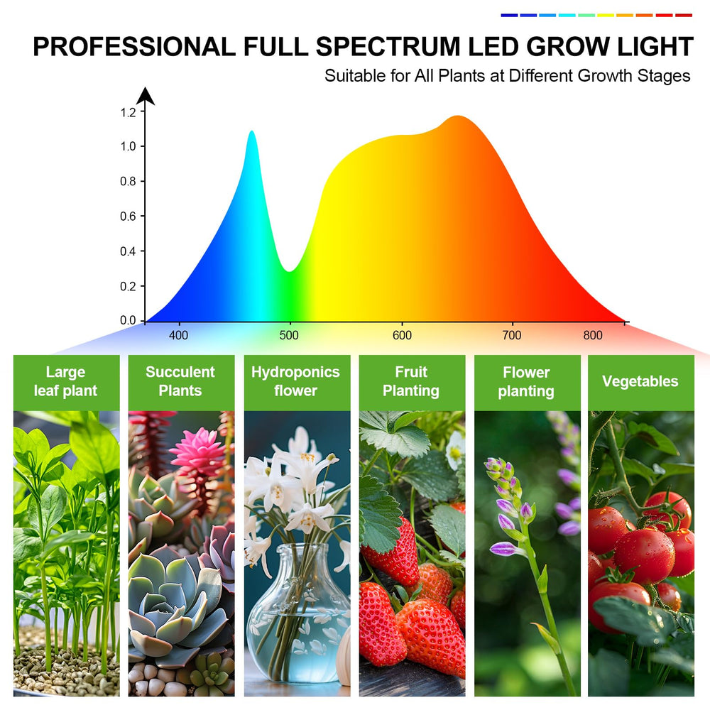 FECiDA lámpara iluminando una orquídea mostrando mejora visual y salud