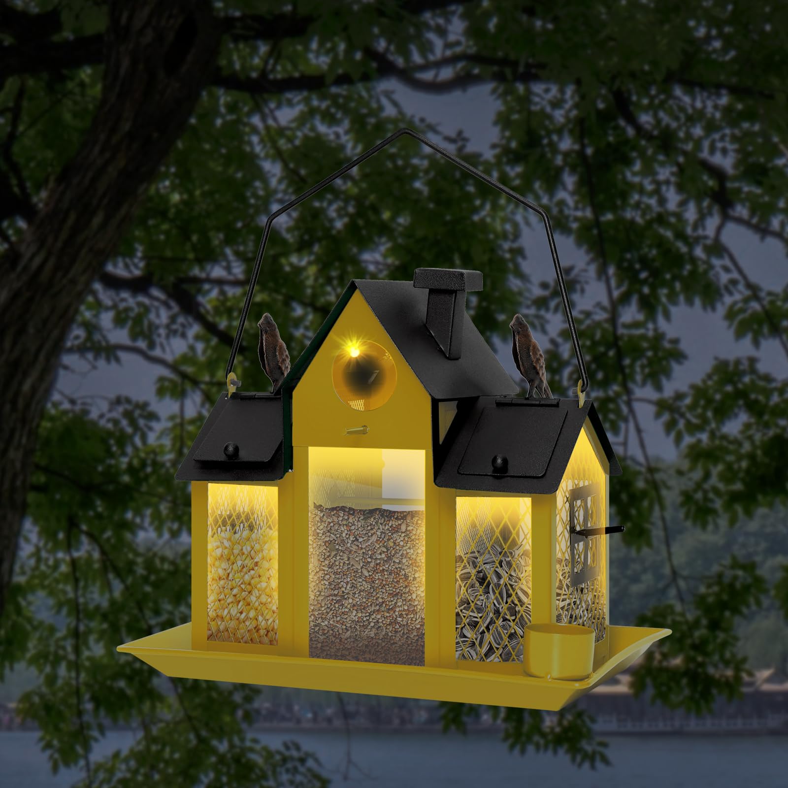 FIMOFIDRE empaque listo para regalo ideal para amantes de aves