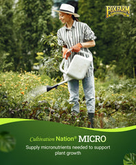 FoxFarm aplicación en maceta durante vegetativo, mejora vigor y desarrollo foliar