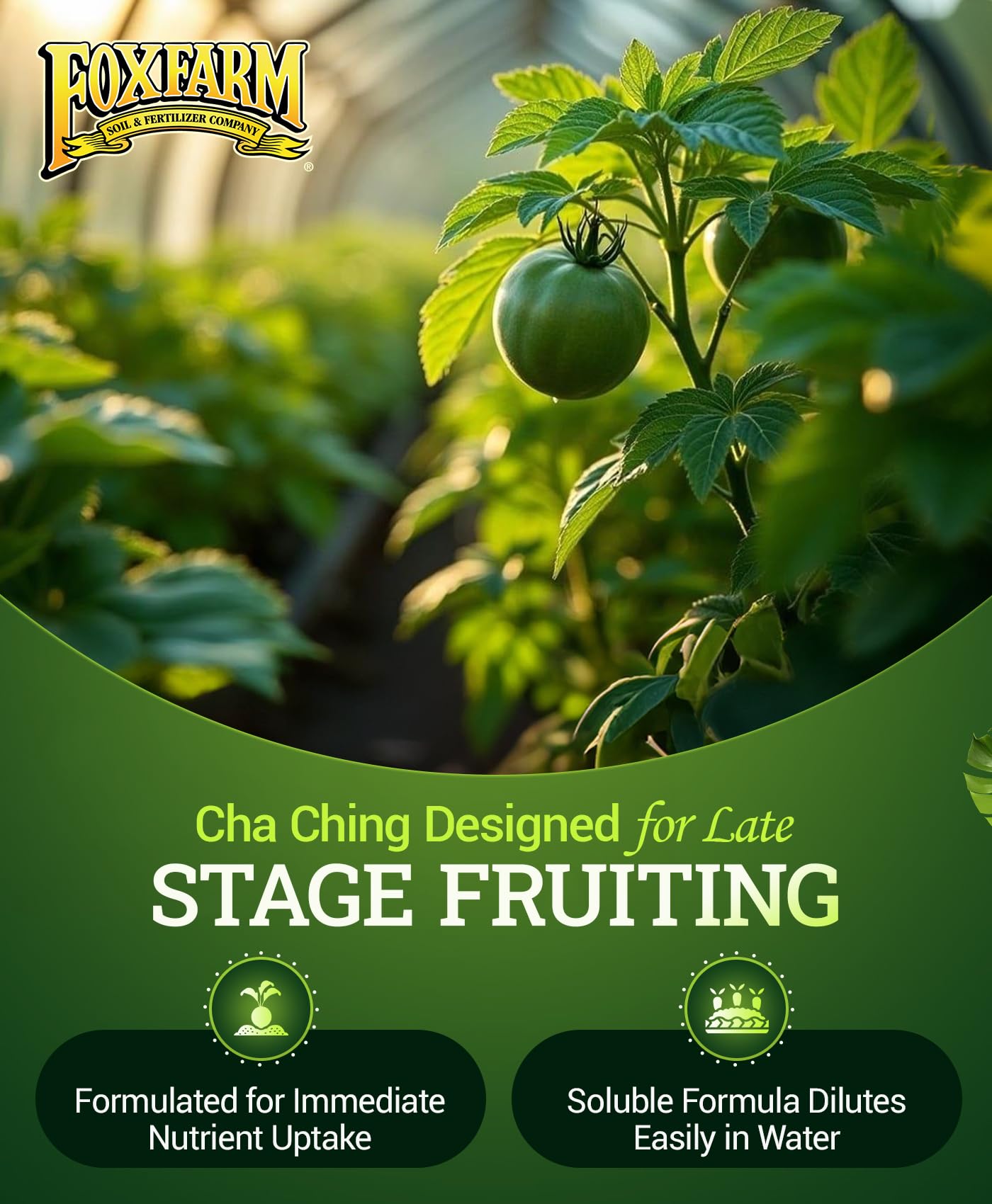 FoxFarm Cha Ching usado en sistema de riego, apoya maduración de frutos