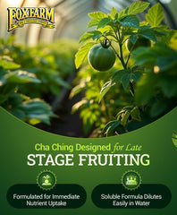 FoxFarm Cha Ching usado en sistema de riego, apoya maduración de frutos