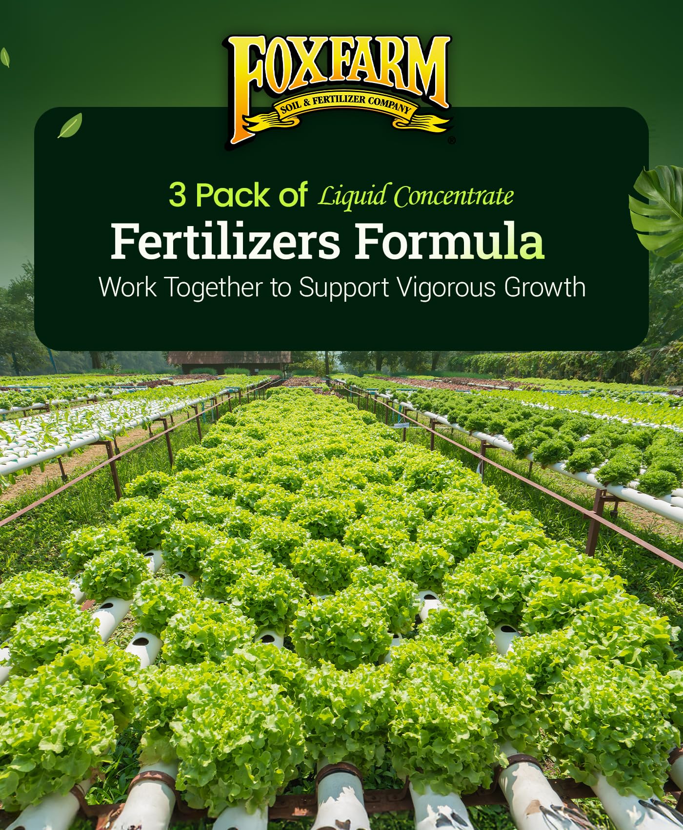 FoxFarm ambientación en interior con cultivo hidropónico, promueve plantas sanas