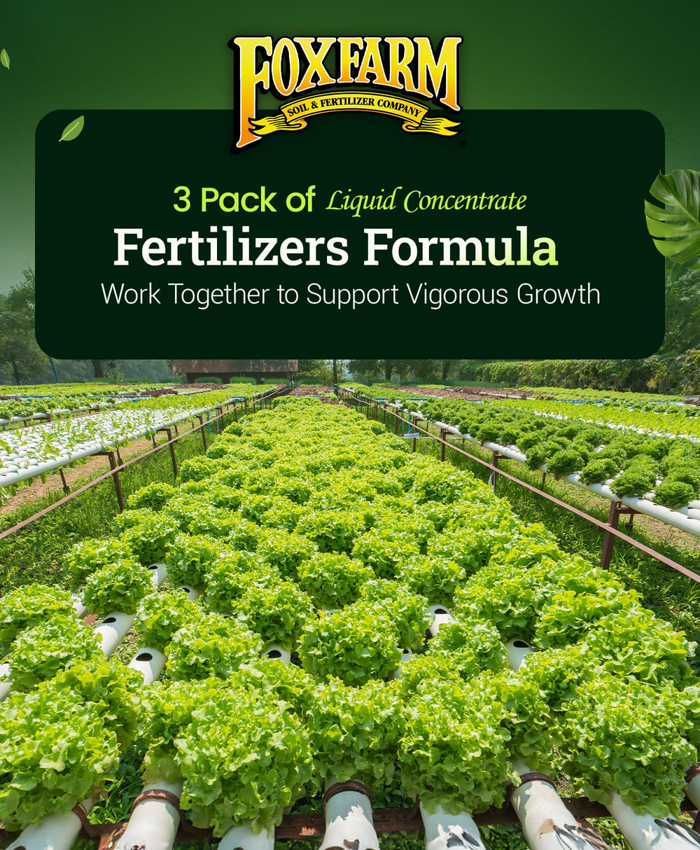 FoxFarm ambientación en interior con cultivo hidropónico, promueve plantas sanas