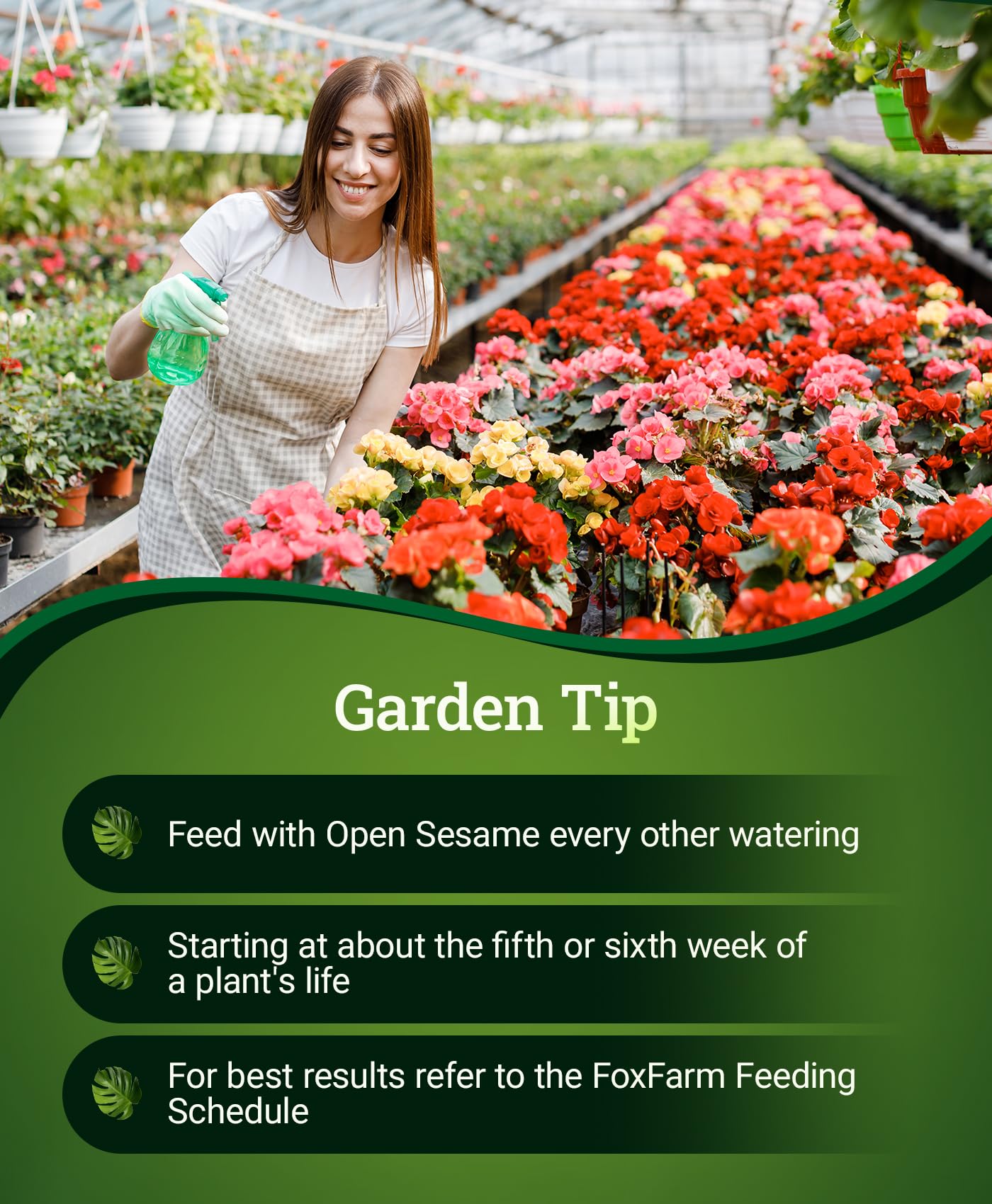 FoxFarm Open Sesame comparación de tamaño del envase y porciones