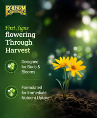 FoxFarm Tiger Bloom etiqueta con proporciones, optimiza floración y fruto