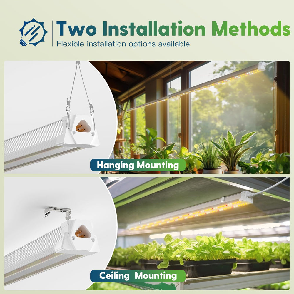 FREELICHT comparación de tamaño 4FT para visualizar escala con plantas