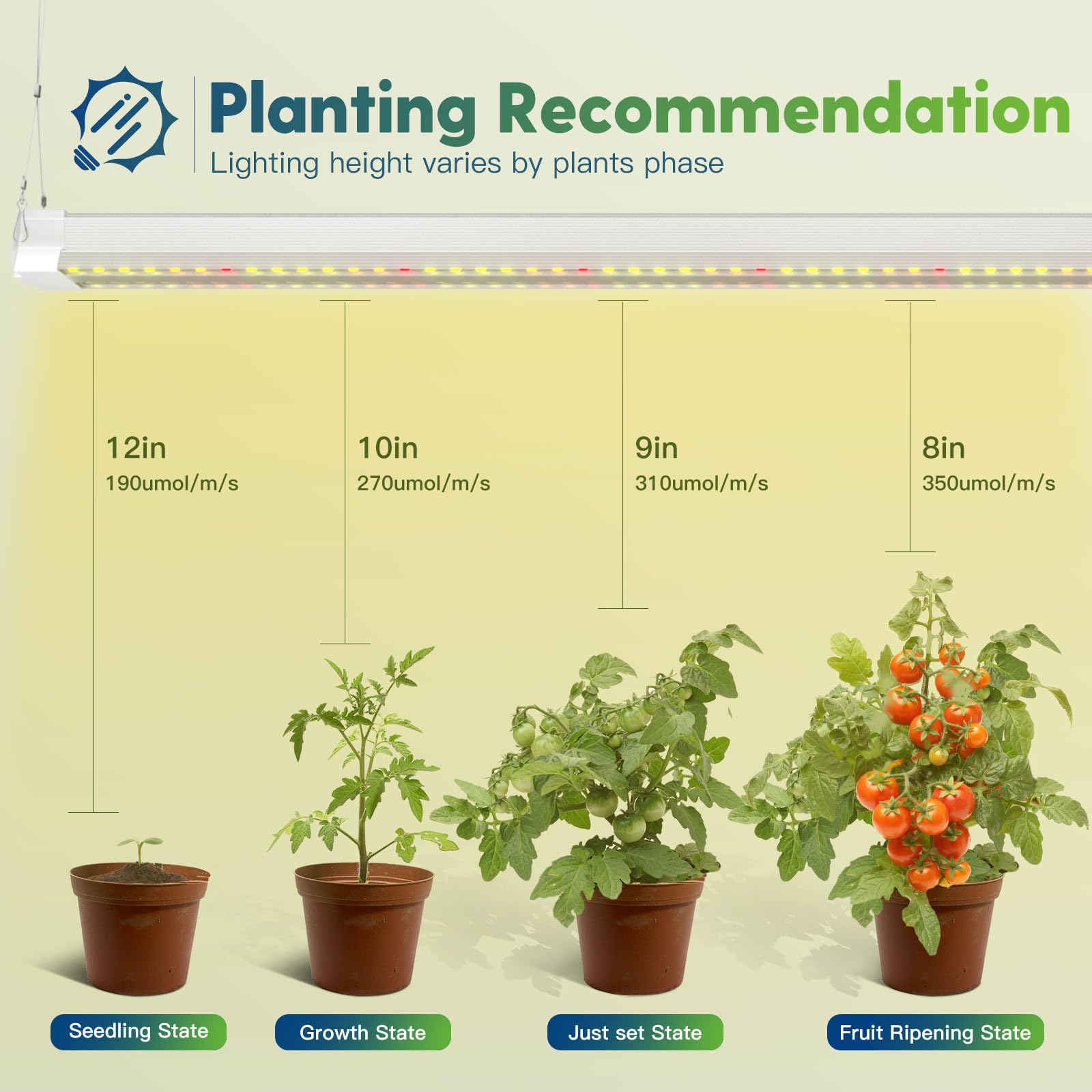 FREELICHT primer plano de los 168 LEDs para cobertura uniforme de cultivo