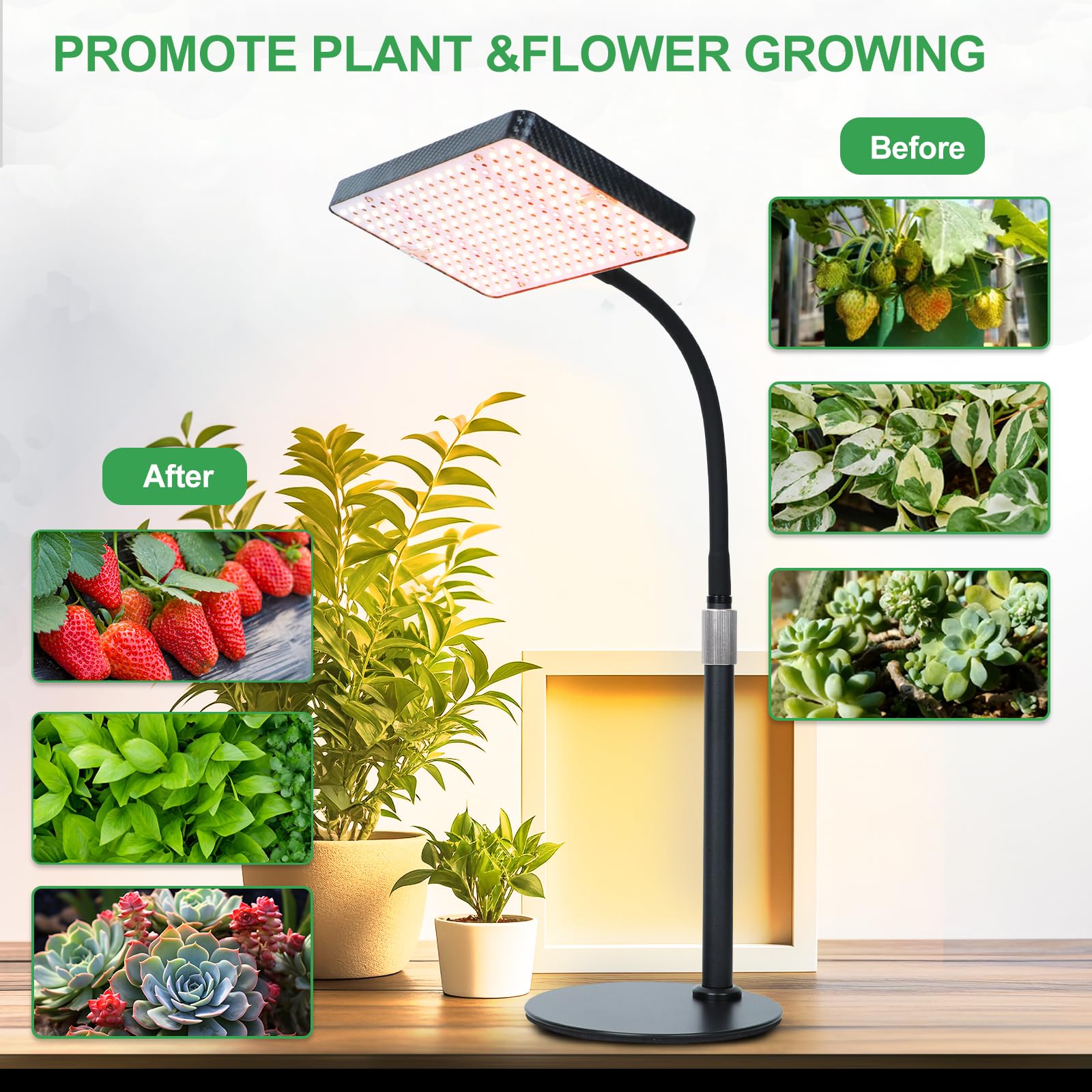 FRGROW comparación con manos, muestra tamaño práctico para estanterías
